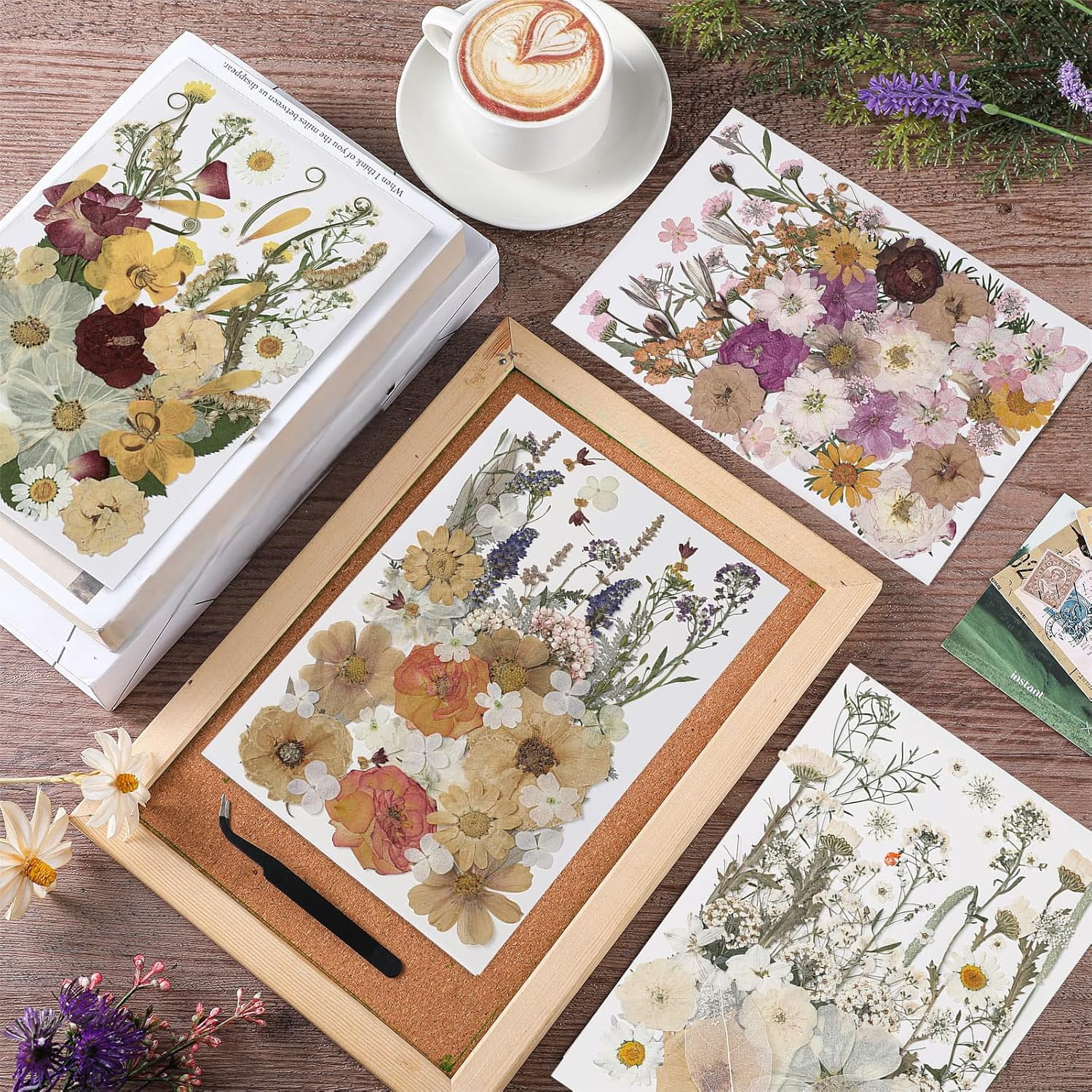 200 Pcs Pressed Flowers Bulk Dried Flower for Craft Resin Mold Bookmark Scrapbooking Nail Cake White Orange Natural Floral with Tweezer DIY Gift(Classic Color,Retro Style)