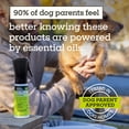 thumbnail image 5 of Pet Life Unlimited Flea & Tick 3-Step Prevention Trial Kit for Dogs, 5 of 10