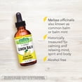 thumbnail image 3 of Botanic Choice Lemon Balm Liquid Extract, Alcohol Free, 2 fl. oz, 3 of 7