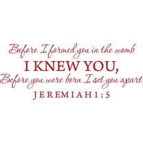 Red 50" x 20" Decaltor Before I formed you in the womb Jeremiah 1:5 Vinyl wall art family mother newborn bible prayer Inspirational quotes and saying home décor