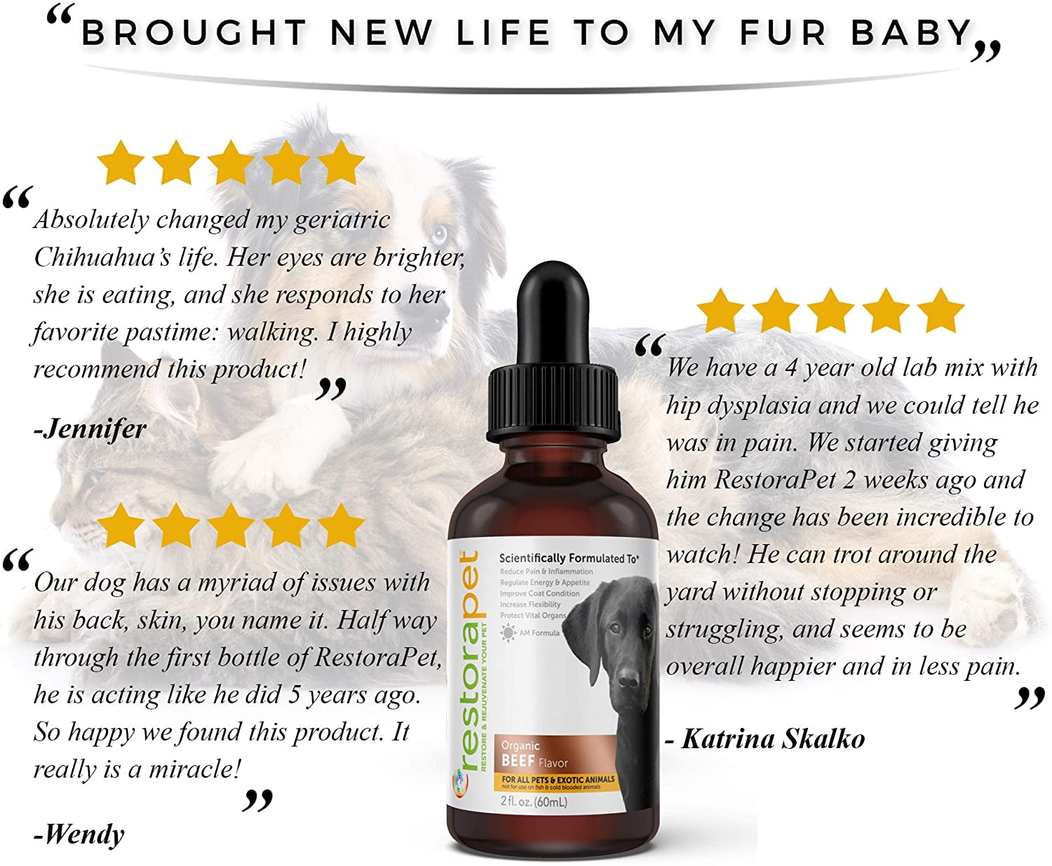 RestoraPet 1-Pack Organic Pet Supplement For Dogs, Cats & Horses