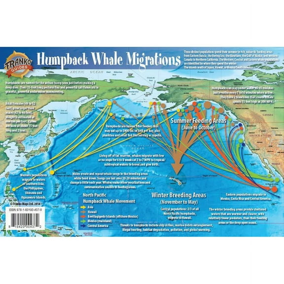Franko Maps Pacific Humpback Whale Migration Card