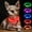 XS-Red(40cm), variant on Minzimin Light Up Dog Collar, Rechargeable LED Puppy Collar Glowing Pet Collar TPU Cuttable Dog Lighted Collar for Small Dogs (No USB)