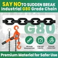 thumbnail image 6 of 3 Tons Chain Hoist with Weston Style Double-Pawl Brake, Hand Lever Chain Hoist, 360°Rotation Lift Lever Block Chain Hoist, for Garage, Factory, Dock (3 TON 20 FT), 6 of 8