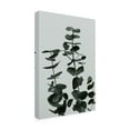 thumbnail image 3 of Canvas Wall Art - Pictufy Studio Iii 'Eucalyptus Natural 11' Wall Art for Living Room, Bedroom, or Office D?cor by Trademark Fine Art - 12 x 19 Inches, 3 of 4