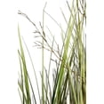 thumbnail image 4 of Vintage Home 60" Tall Onion Grass with Twigs Artificial Tree, Green, 4 of 4