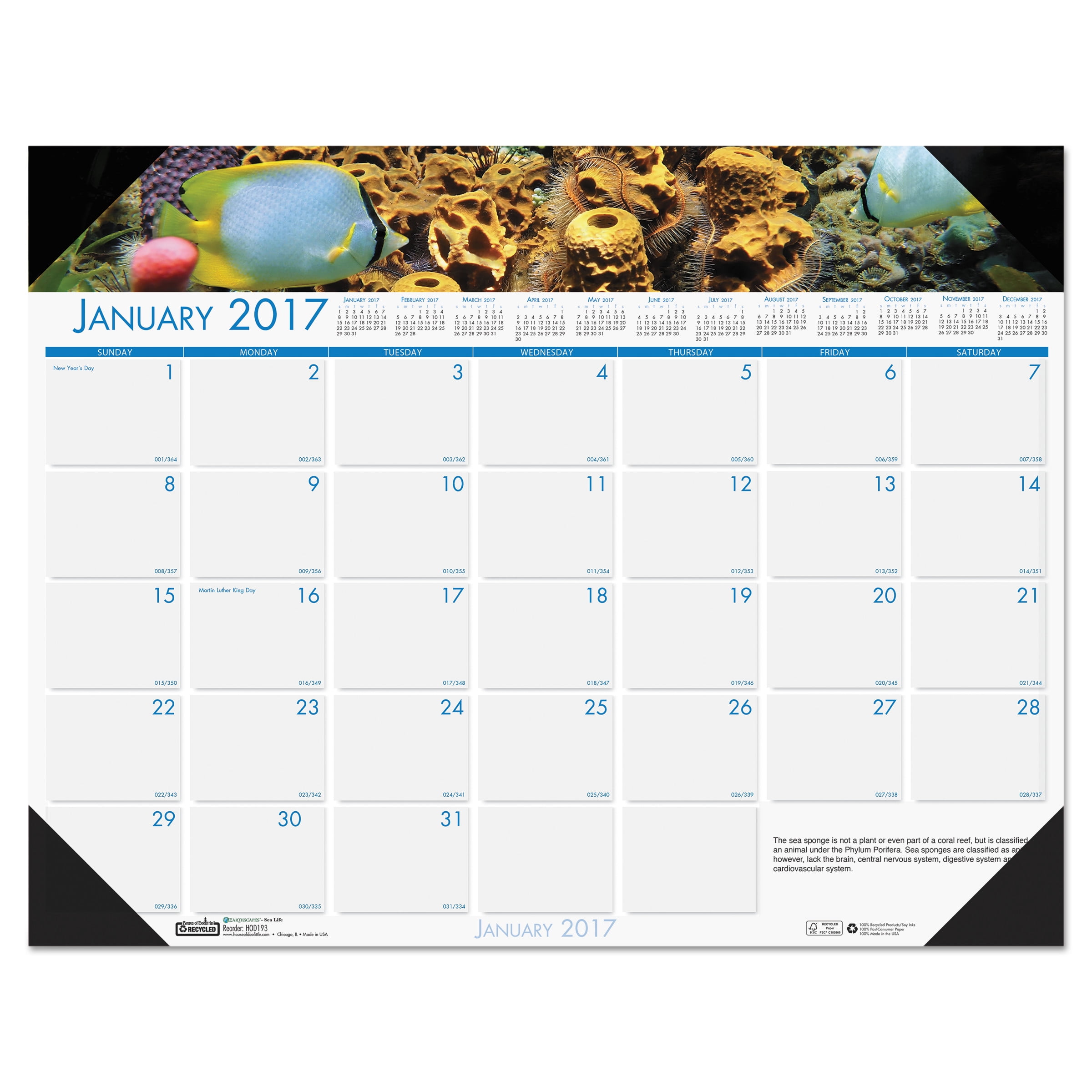 House Of Doolittle Monthly Desk Calendar 22x17 In Sea Life Hod193 House Of Doolittle Monthly Desk Calendar 22x17 In Sea Life Hod193 Com