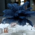 thumbnail image 6 of BalsaCircle 12 Pieces 13"-15" Navy Blue Authentic Ostrich Feathers Centerpieces, 6 of 7