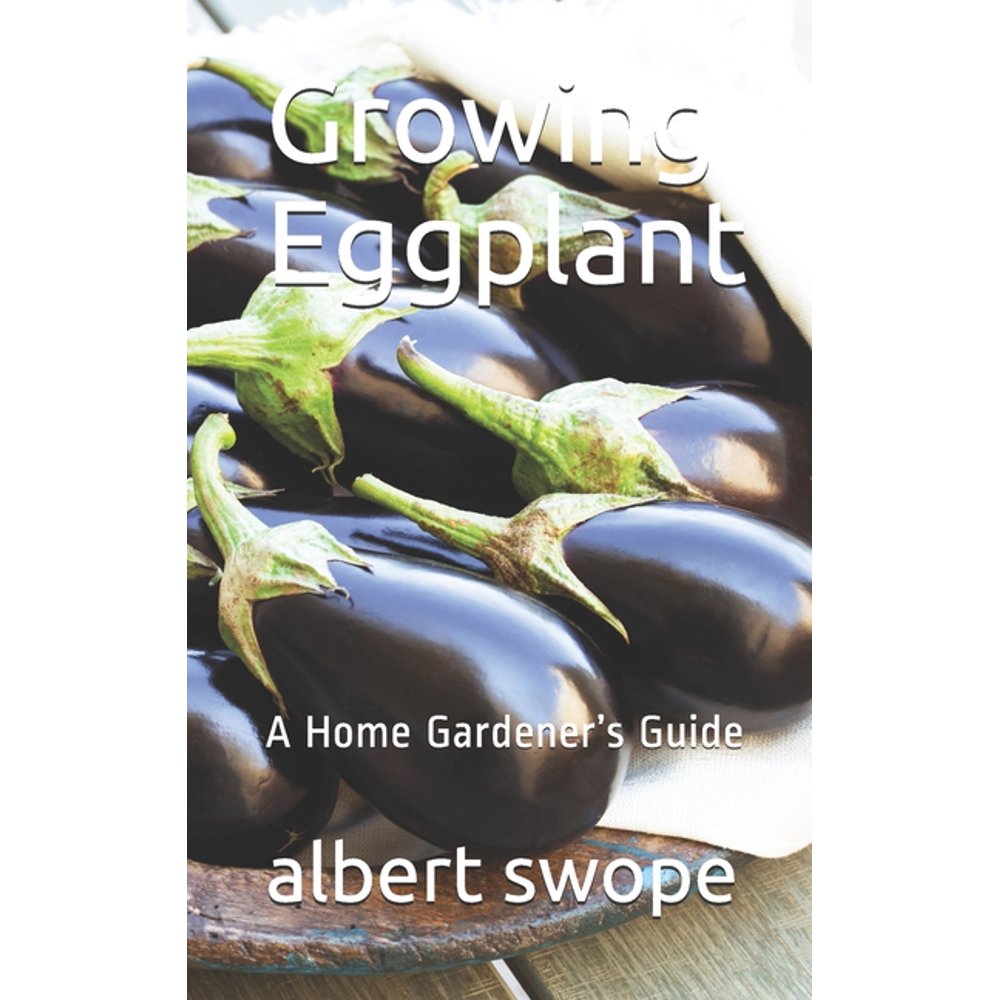 Growing Eggplant A Home Gardener's Guide
