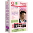 thumbnail image 3 of Vegetal Bio Colour Burgundy 150gm first PPD free and ammonia free hair color recommended by dermatologists for All hair type, 3 of 8