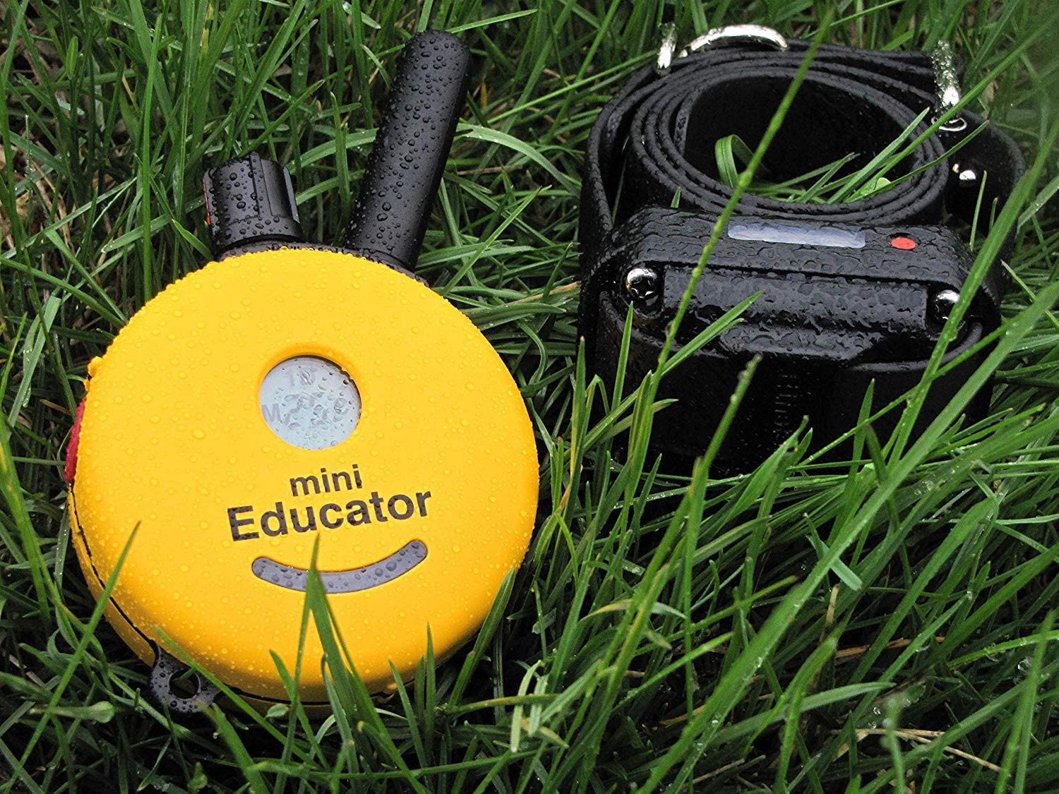 Mini Educator E-Collar ET-300 ET-302 Dog Training Collar System with  Remote 1/2 Mile Range Waterproof, Vibration, Tapping, Sensation Bonus  eOutletDeals Pet Towel