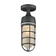 Cage Silver Exterior Ceiling Light