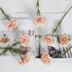 thumbnail image 2 of Flores artificiales de seda de clavel rosa claro, 15 piezas de clavel falso, flores artificiales rosas con tallos para decoración del hogar, boda, ramo de novia, aniversario, cumpleaños, 2 of 4