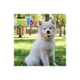 thumbnail image 2 of Juguete Hueso Gde De Bambu Fancy Pets SABOR POLLO, 2 of 2