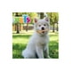 thumbnail image 2 of Juguete Hueso Gde De Bambu Fancy Pets SABOR POLLO, 2 of 2