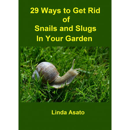 29 Ways to Get Rid of Snails and Slugs in Your Garden - (Best Way To Get Rid Of Crabgrass In Bermuda Grass)