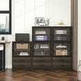 thumbnail image 7 of Dextrus 19.7'' Wide 2 -Drawer File Cabinet with Transparent Cabinet Doors and Adjustable Shelves, Walnut, 7 of 7