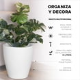 thumbnail image 4 of Maceta Cónica Elly Decor 30.5 cm con Drenaje Blanco Interior Exterior, 4 of 5