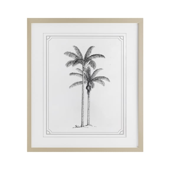 Stupell Industries Tropical Vintage Simple Palm Tree Birch Framed Print Under Glass, 17 x 21, by Lettered and Lined