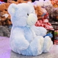thumbnail image 2 of PELUCHERIA| Oso de Peluche Premium Azul, 2 of 4