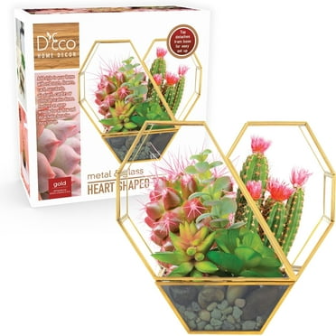 D'Eco Glass Heart Plant Terrarium (8X 8X 2.5)- Gold Trim Geometric Planter - Succulents, Air Plants, Moss, Fern- Home, Office & Wedding Decor- Great Gift for Plant Lovers