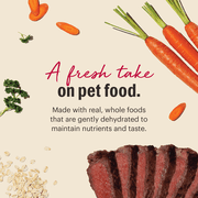 The Honest Kitchen Wholemade Whole Grain Beef Recipe, Human Grade Dehydrated Dog Food, Just Add Water, Supports Digestion, Skin & Coat, Topper for Dry or Wet Dog Food, 10 lb Box Makes 40 lbs