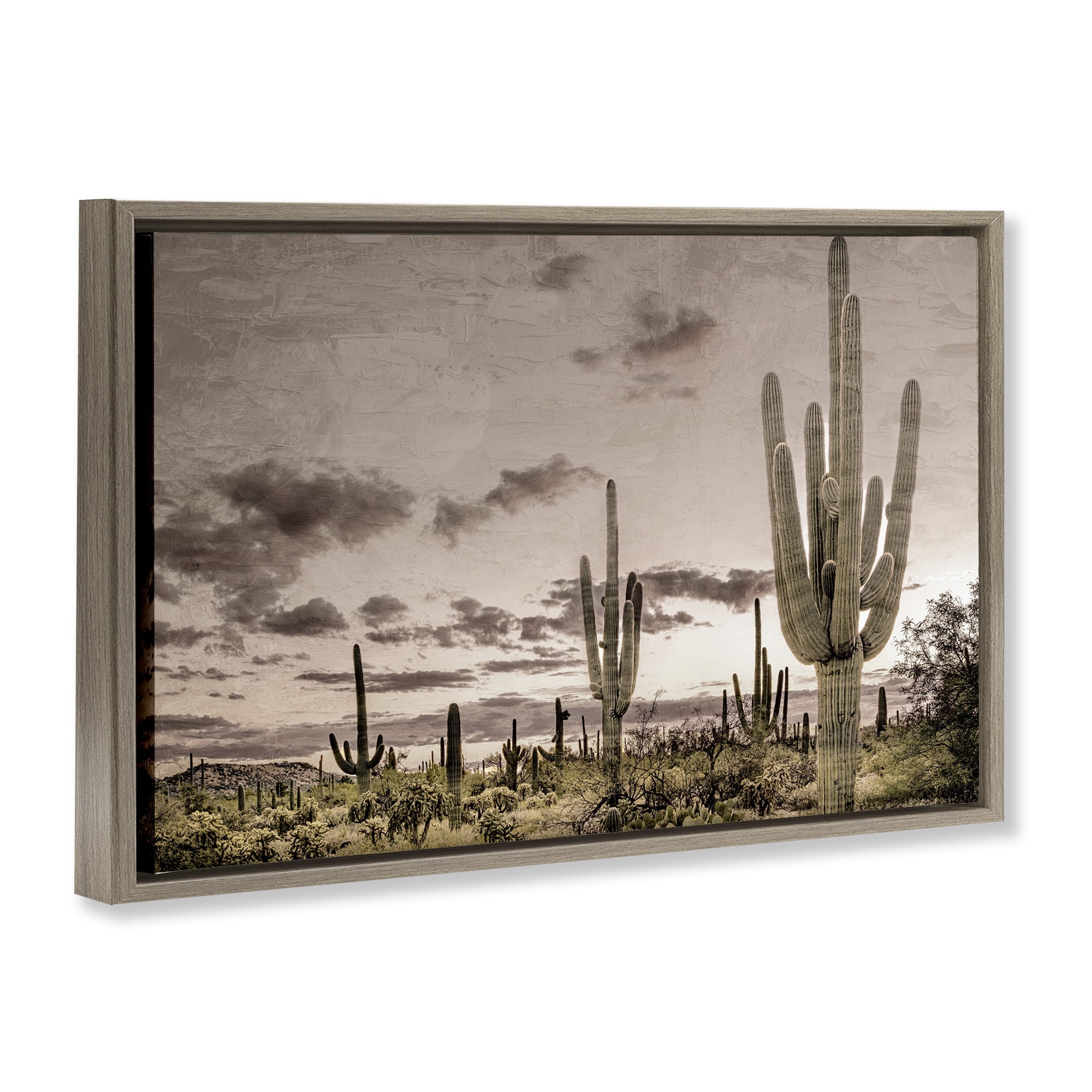 Stupell Industries Desert Sky Wilderness Brown Framed Floater Canvas Wall Art, design by Kim Allen