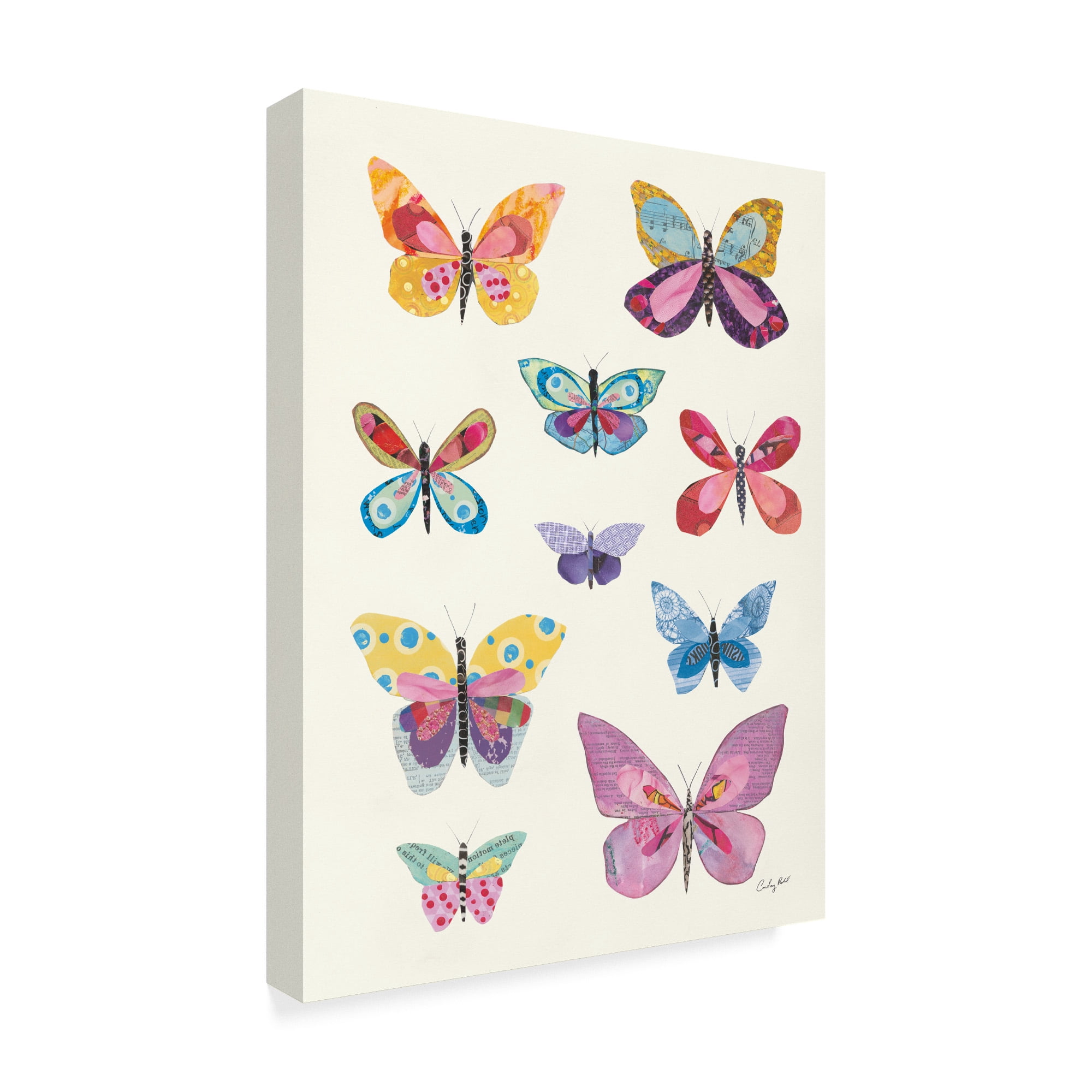 Trademark Fine Art 'Butterfly Charts II' Canvas Art by Courtney Prahl