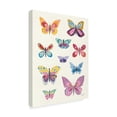 thumbnail image 2 of Trademark Fine Art 'Butterfly Charts II' Canvas Art by Courtney Prahl, 2 of 4