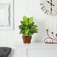 thumbnail image 6 of Nearly Natural 20.5" Dieffenbachia with Wood Vase Artificial Plant, Set of 2, Variegated, 6 of 6