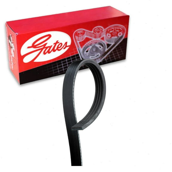 Gates AC Stretch Fit Micro-V Serpentine Belt compatible with Chevrolet Tahoe 4.8L 5.3L 6.2L V8 2009-2014