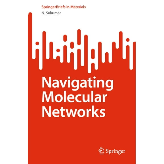 Springerbriefs in Materials Navigating Molecular Networks, (Paperback)
