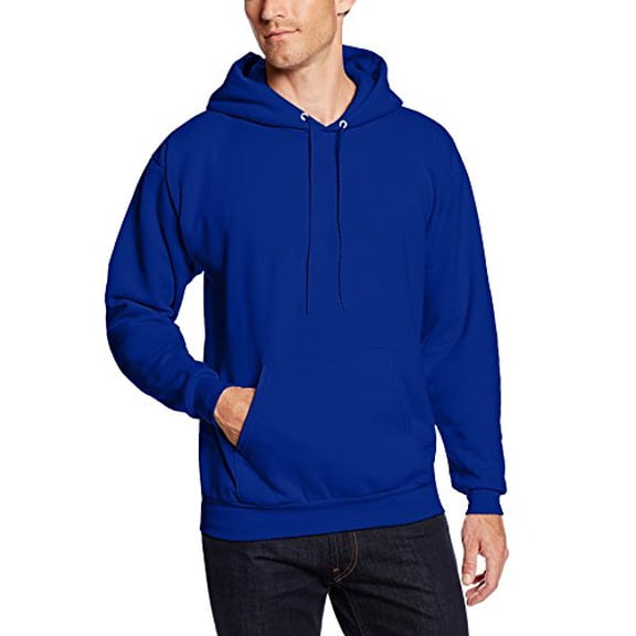 Hanes mens Pullover Ecosmart Fleece Hooded Sweatshirt,Deep Royal,Large