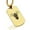 Gold, variant on Stainless Steel Assassin Fantasy Class Dog Tag Pendant Necklace