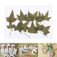 thumbnail image 4 of 12 piezas de Flores prensadas naturales perfecl Flores secas prensadas naturales, 4 of 8