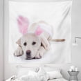 thumbnail image 1 of Yellow Lab Tapestry, Easter Bunny Labrador Terrier Funny Animal Photo on Plain Backdrop, Fabric Wall Hanging Decor for Bedroom Living Room Dorm, 5 Sizes, Pearl Baby Pink White, by Ambesonne, 1 of 1
