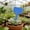 🥝 Blue_Base#351, variant on Generic T-Type Herb Labels -- 100 Pack Plastic Plant Markers, Waterproof Garden Tags, Assorted Colors, Easy Insert, Durable PVC, 10x6cm for Outdoor Plant Identification