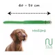 thumbnail image 4 of Collar Premium Para Perros 100% Piel Varios Colores, 4 of 8