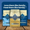 thumbnail image 6 of Blue Buffalo Life Protection Formula Adult Small Breed Healthy Weight Dry Dog Food, Chicken, 5 lbs., 6 of 12