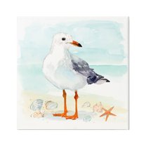 Stupell Industries Coastal Seagull & Shells Animals & Insects Painting Gallery Wrapped Canvas Art Print Wall Art, 36 x 36