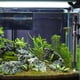 thumbnail image 4 of Calentador de acuario Sunnimix Calentador de agua sumergible con termostato automático 200W 280mm, 4 of 8