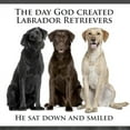 thumbnail image 3 of CafePress - Creation Of Labs T Shirt - Mens Comfort Colors Shirt, 3 of 5