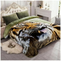 Omsix Plush Fleece Blanket Queen Size 91" x 75", 3.7LBs 1 Ply Soft Korean Mink Warm Lightweight Bed Blanket for Autumn Winter