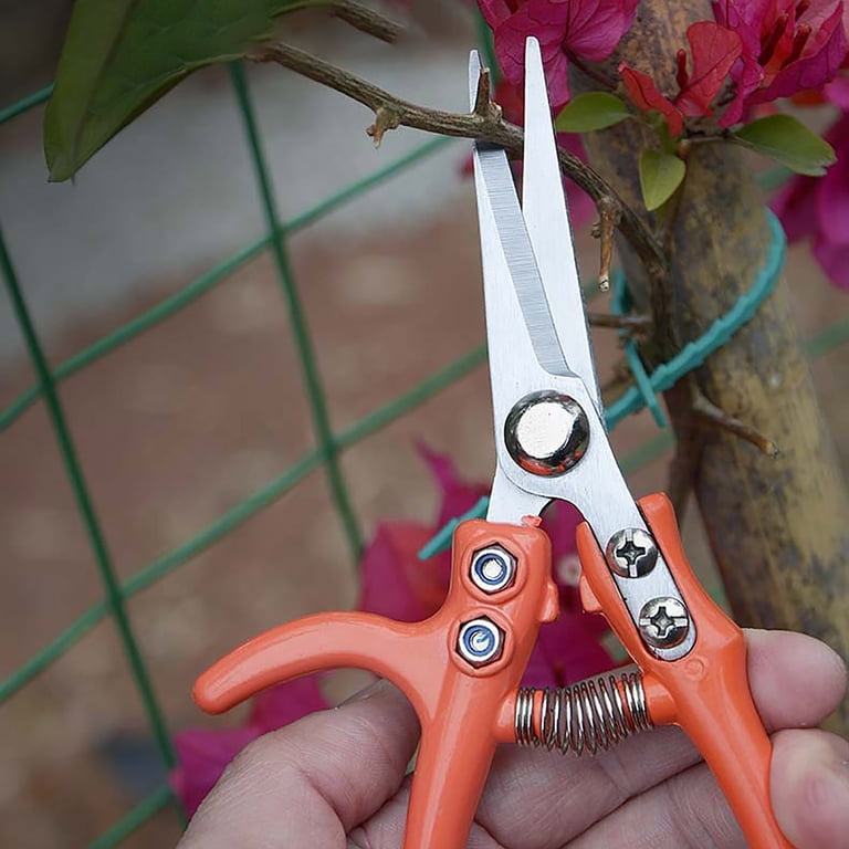 Modern Sprout Pruning Shears - Herb Snipping Scissors- Lightweight  Gardening Tools Lock - Flower Cutter Garden Shears - Carbon Steel Blade +  Reusable ...