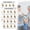 A, variant on 30-Day Seated Chair Workout Plan Wall Chart, Version AA | Thick Acid-Free High-Density Ink-Proof Office & Craft Paper