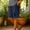 Navy, variant on PWPSG Women's Elastic Waist Loose Casual Linen Capri Pants, Breathable with Pockets, Multi Colors for Daily Commute Wear Blue XXL