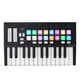 thumbnail image 1 of Controlador MIDI WORLDE Orca mini25 Controlador de teclado MIDI USB portátil de 25 teclas con 16 almohadillas de disparo retroiluminadas RGB 8 perillas de control asignables WORLDE Controlador MIDI, 1 of 7