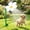 White, variant on Crazy Daisy Sprinkler, 2026 New Crazy Dancing Flower Water Sprinkler, Funny 360° Rotating Sun Flower Dancing Water Sprinkler Irrigation Tool for Lawn Garden Yard Watering Dogs Kids Playing (Yellow)