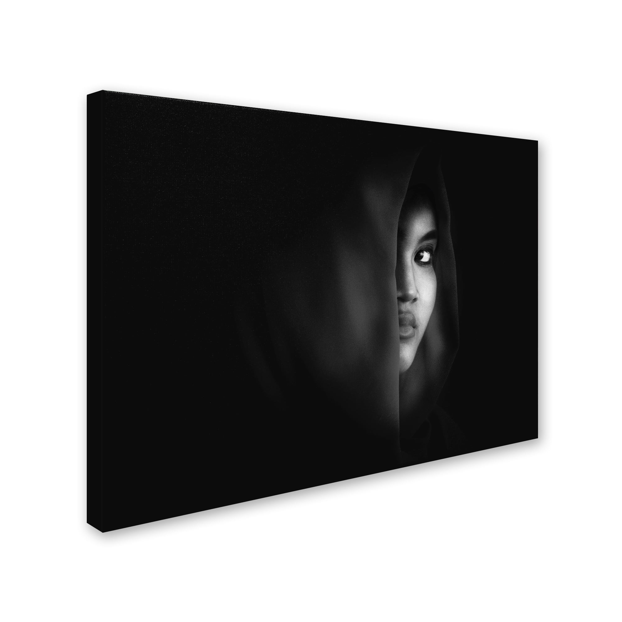 Ivan Marlianto 'Burn Eye' Canvas Art