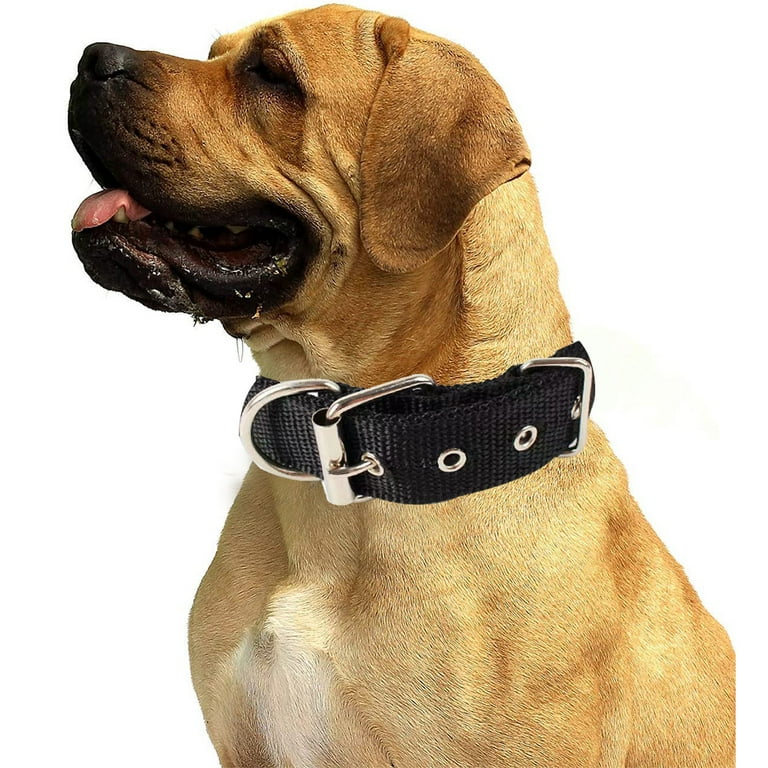 Heavy duty dog collars walmart outlet